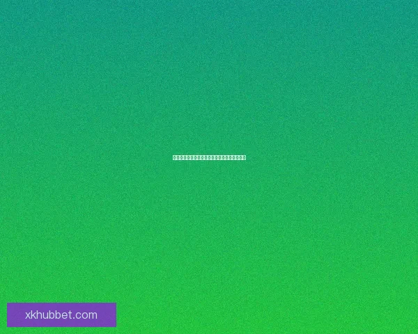 星空体育平台体验评测与使用感受全面解析指南